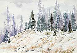 #574 ~ Perrott - Coleman Highway Snow