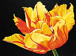 #588 ~ Sawchuk - Untitled - Bright Tulip