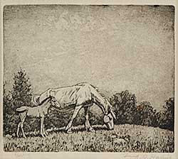 #745 ~ Haines - Untitled - Two Horses  #3/40
