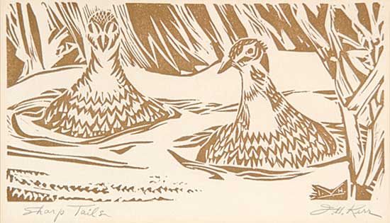 #101 ~ Kerr - Sharp Tails