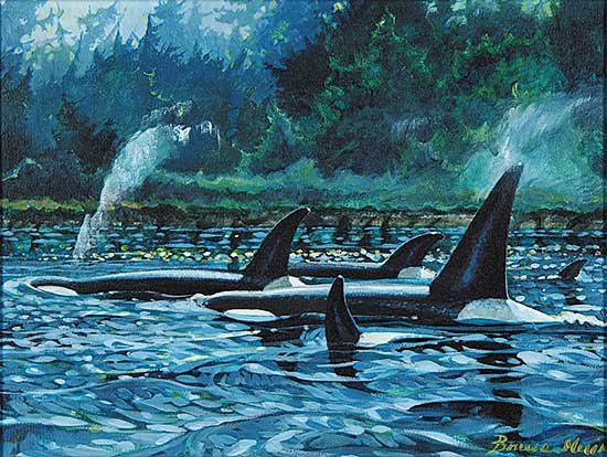 #150 ~ Muir - Untitled - Orca Whale Family