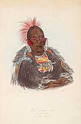 #45 ~ Catlin - Wah - Ro - Nee - Sah, The Surrounder, An Ottoe Chief