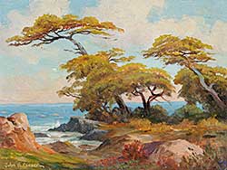 #53.2 ~ Conner - Monterey Cypress