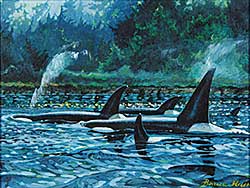 #150 ~ Muir - Untitled - Orca Whale Family