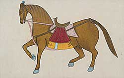 #233 ~ School - Untitled - Persian Horse