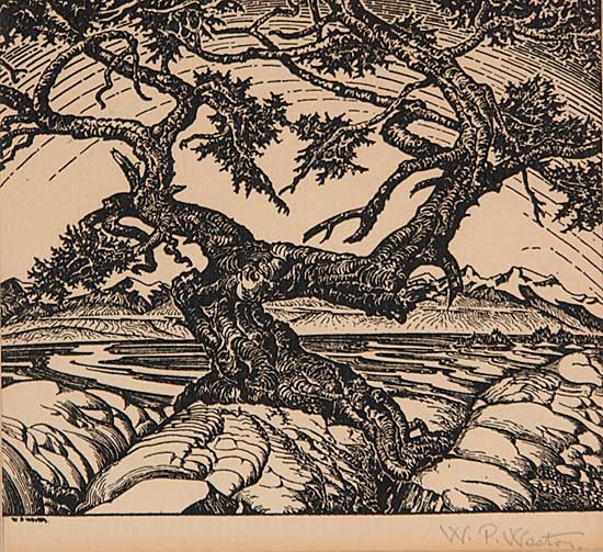 #76 ~ Weston - Untitled - Around the Tree