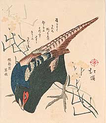 #45 ~ Hokkei - Untitled - Fierce Bird