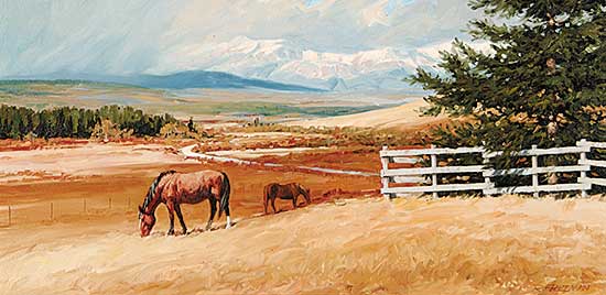 #26 ~ Freeman - Ranching Country