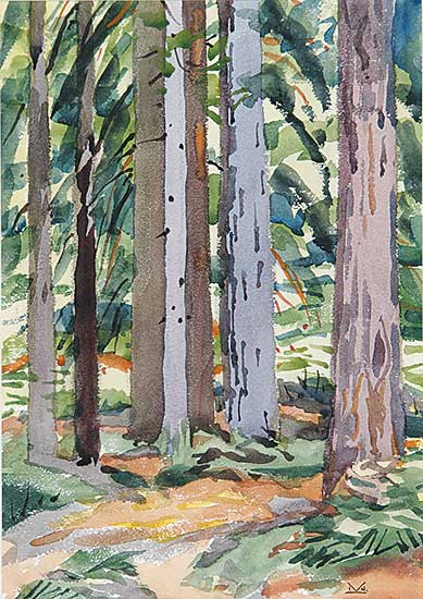 #42 ~ Kerr - Young Redwoods No. 1
