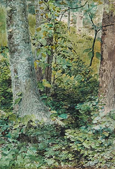 #78 ~ Matthews - Untitled - Forest Undergrowth