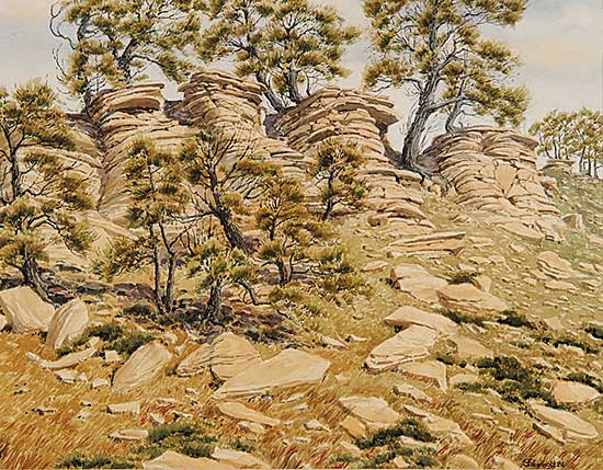 #99 ~ Perrott - Skyline, Antelope Butte