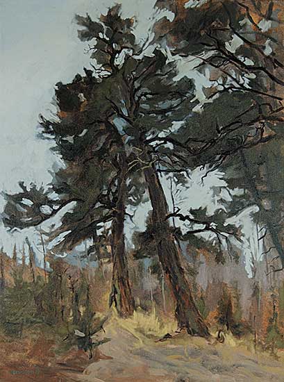 #124.1 ~ Vervoort - Douglas Pines