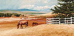 #26 ~ Freeman - Ranching Country