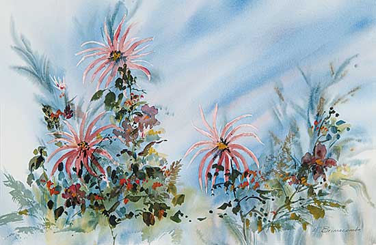 #442 ~ Brimacombe - Siberian Asters
