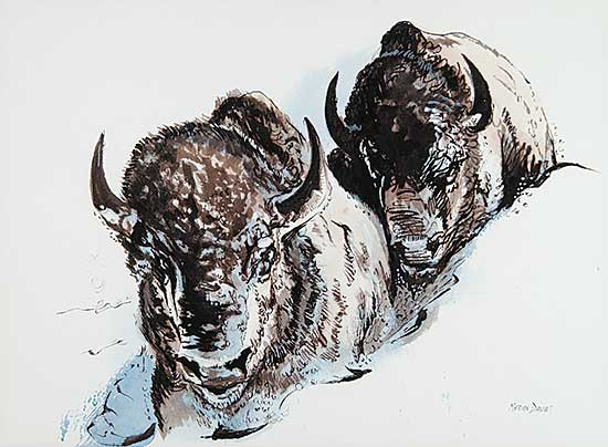 #470 ~ Davie - Untitled - Two Buffalo