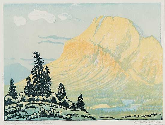 #728 ~ Shelton - Rockface of Mt. Rundle  #29/100