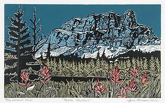 #757 ~ Thomsen - Castle Mountain  #45/70