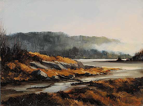 #793 ~ Wood - Near Ladysmith V.I.
