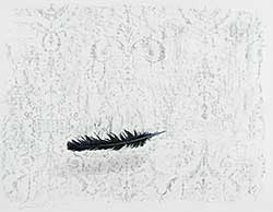 #487 ~ Esler - Untitled - Falling Feather