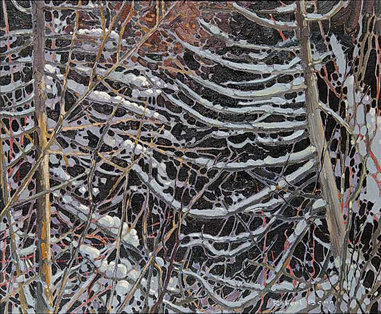 #35 ~ Genn - Canada Northern Forest - Algoma