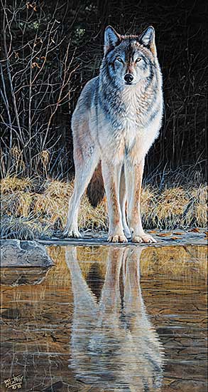 #65 ~ McCaffrey - Wolf Creek