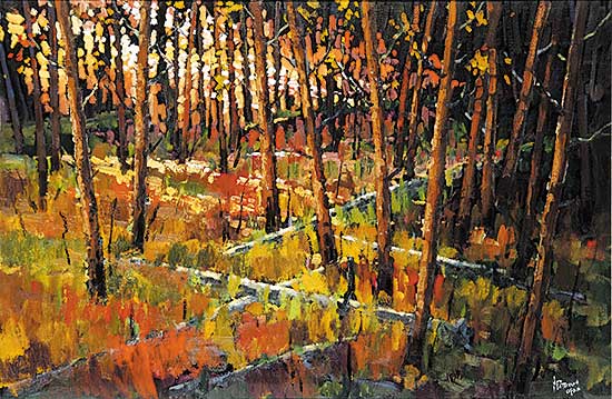 #74 ~ Patterson - Fall Light