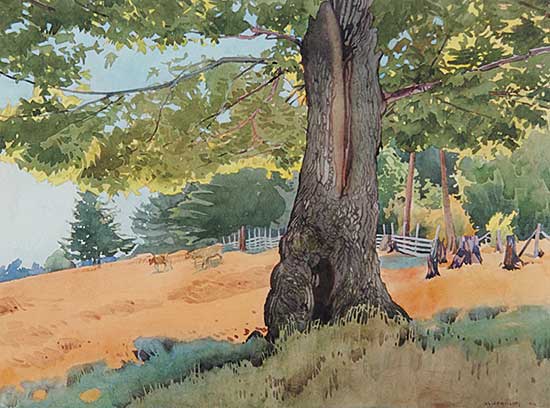 #76.2 ~ Phillips - Pasture at Saanich, B.C.