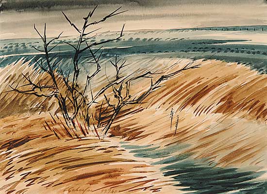 #93 ~ Schaefer - Thornbush, Waterloo County