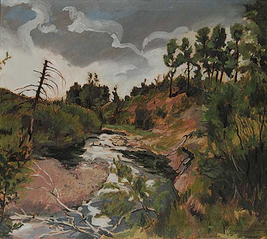 #107 ~ Vervoort - Bragg Creek Storm 1979