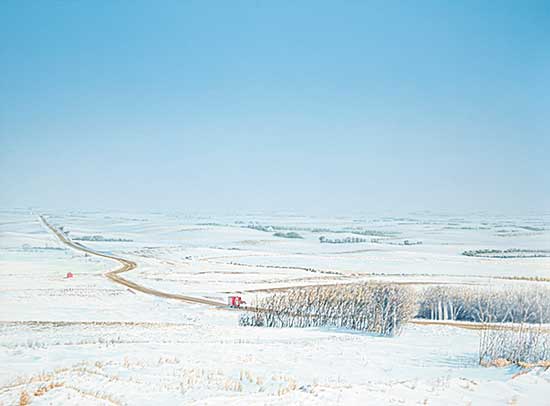 #110 ~ Webb - Alberta Afternoon