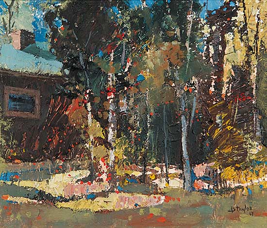 #487 ~ Taylor - Untitled - Summer Aspens