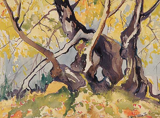 #489 ~ Thornton - Untitled - Approaching Fall No. 2