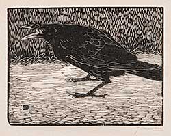 #216 ~ Mankes - Untitled - Crow