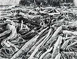 #485 ~ Smith - Untitled - Beach Logs