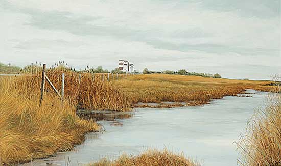 #602 ~ Acs - Slough near Mundare