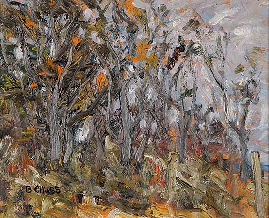 #642 ~ Chubb - Landscape, Georgia Strait