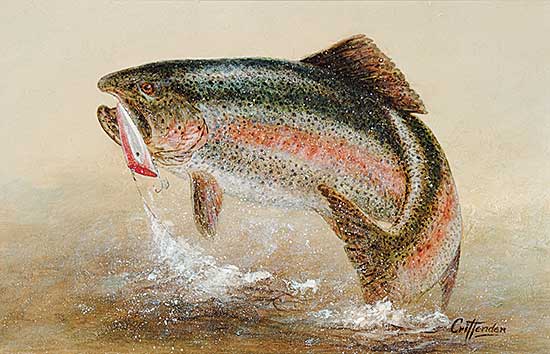 #650 ~ Crittenden - Untitled - Rainbow Trout