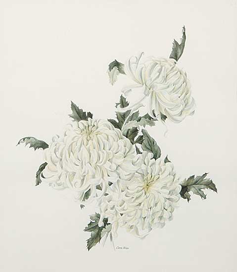 #696 ~ Heine - White Chrysanthemums