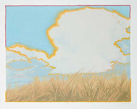 #735 ~ Lobchuk - Untitled - Field  #27/75
