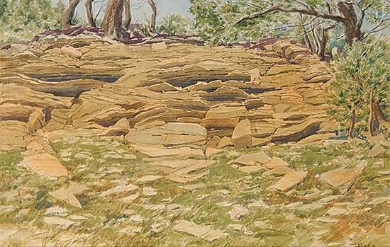 #801 ~ Perrott - Untitled - Sandstone Outcrop