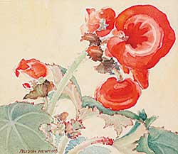 #769 ~ Newton - Untitled - Begonia