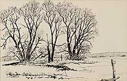 #843 ~ Sandeman - Untitled - Tree Sketch