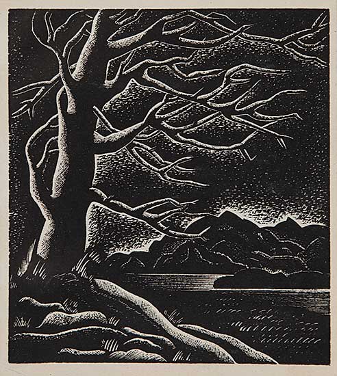 #37 ~ Johnston - Untitled - Evening Light