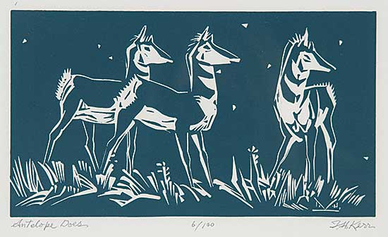 #42 ~ Kerr - Antelope Does  #6/100