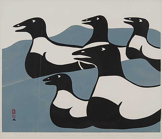 #62.1 ~ Petaulassie - Birds in the Arctic Sea  #21/50