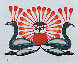 #28 ~ Ashevak - Sunburst Owl  #5/50