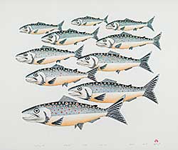 #71 ~ Inuit - Migrating Fish  #25/50