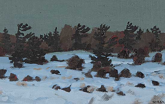 #2 ~ Bobak - Pines in Winter