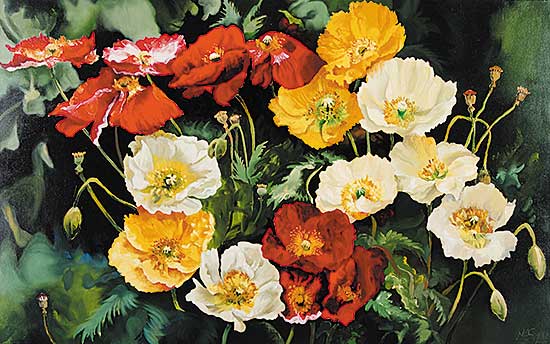 #71 ~ Nagy - Red with Yellow and White