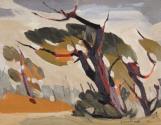 #307.1 ~ Lindoe - Untitled - Ancient Grove